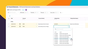 Add data to your financial statements