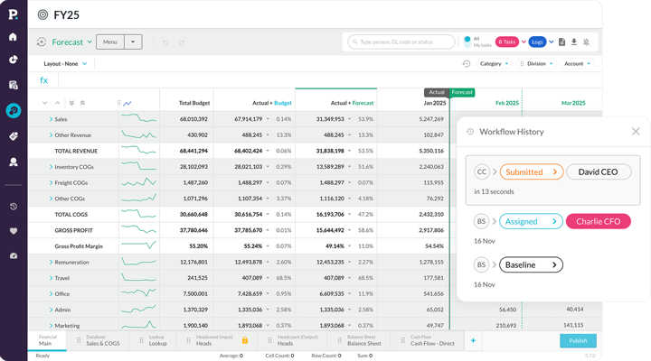 Budgets &amp; Forecasts