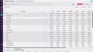 Take a tour of Budgets &amp; Forecasts