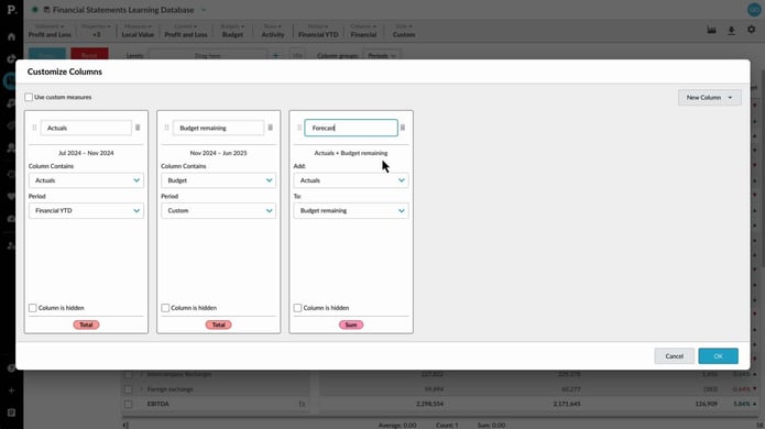 Add custom columns to financial reports