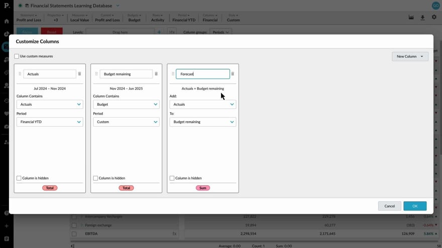 Add custom columns to financial reports