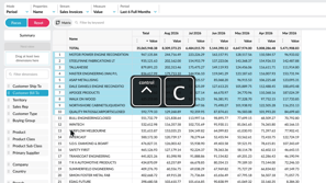 Copy or export data