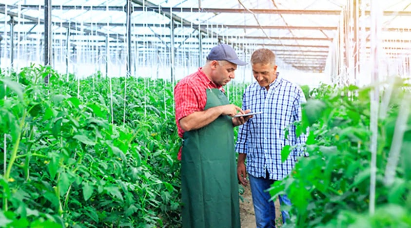 Five reasons food and beverage companies love business intelligence