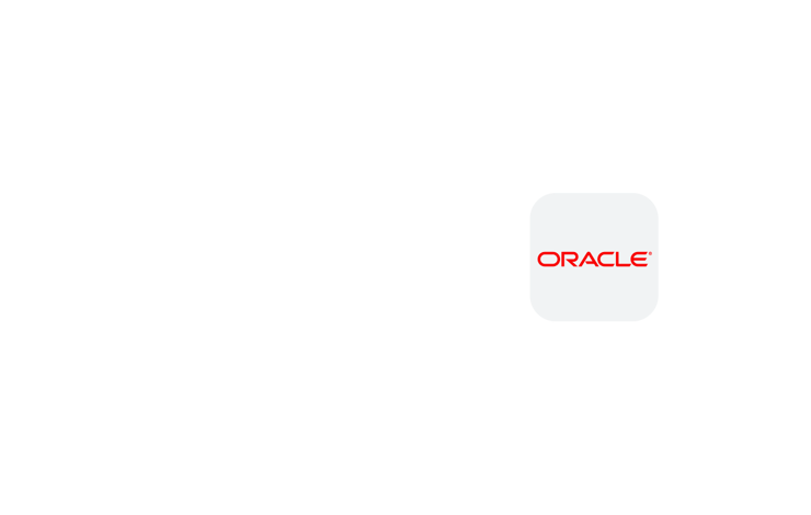Powerful insights. Powerful business decisions. All with your Oracle data.