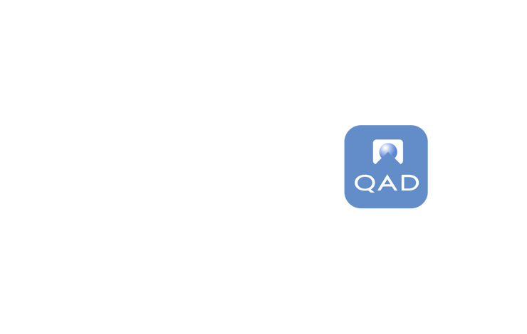 Fast track business growth and identify opportunities with your QAD data