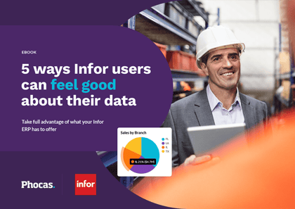 5 ways Infor ERP users can feel good about their data