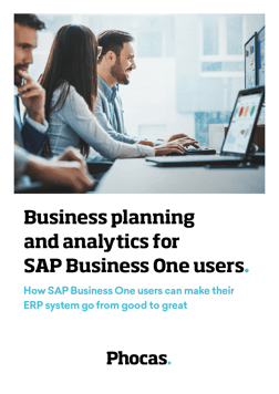Business planning and analytics for SAP Business One users
