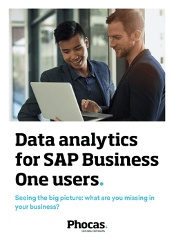 Data analytics for SAP Business One users