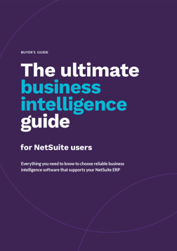 The ultimate business intelligence guide for NetSuite users