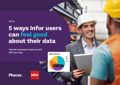 5 ways Infor ERP users can feel good about their data
