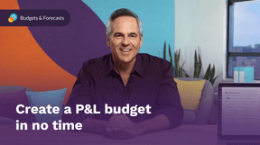 Create a P&L budget in no time